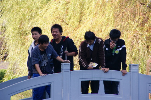 代表圖案