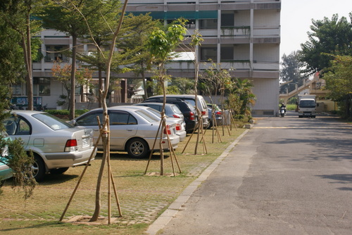 代表圖案